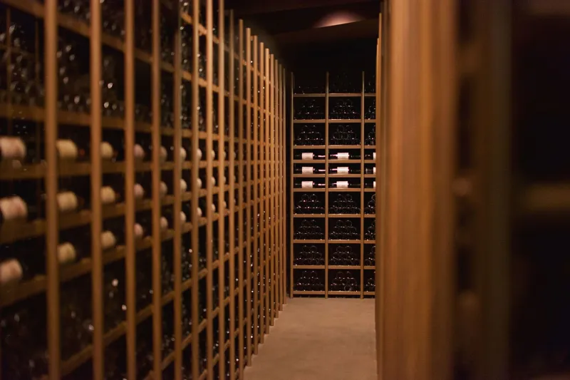 Pages and Palate: The Quiet Study Habits Behind Charlotte's Most Knowledgeable Sommeliers